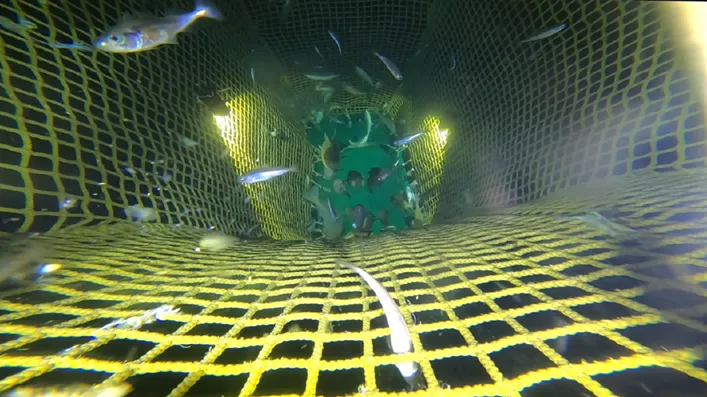 Innvendig%20Excluder