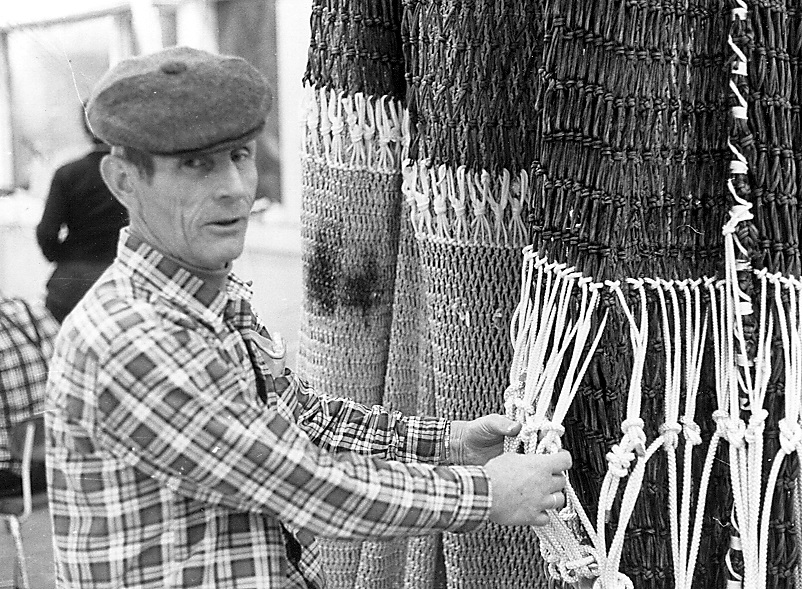 traalkaareinspeksjon